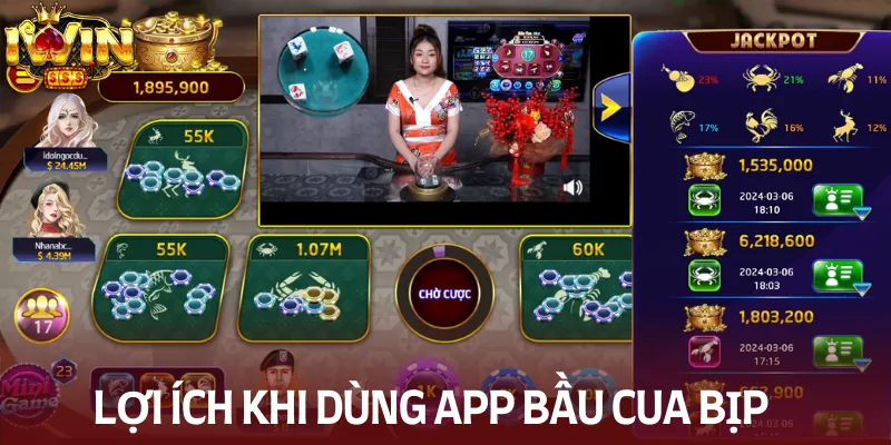 Lợi ích và rủi ro khi sử dụng app bầu cua bịp